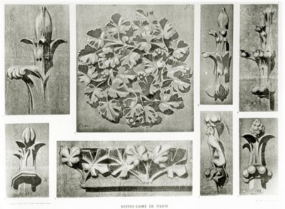 Architectural details for the restoration of Notre Dame by Eugene Emmanuel Viollet le Duc